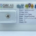 Sans prix de réserve - 1 pcs Diamant (Naturelle) - 0.61 ct -