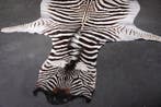 Plains Zebra Skin with Head Gewei - Equus quagga - 250 cm -, Verzamelen, Dierenverzamelingen, Nieuw