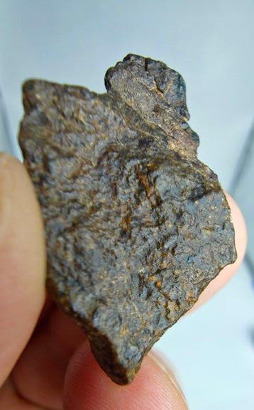 Météorite lodranite. NWA 17904. La météorite est une brèche, Collections