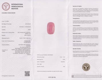 Zonder minimumprijs - 1 pcs Roze, Rood Robijn - 8.98 ct -