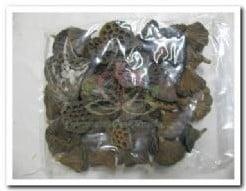 Lotus Groot zak ca. 50 stuks, Huis en Inrichting, Woonaccessoires | Kunstplanten en Kunstbloemen, Nieuw