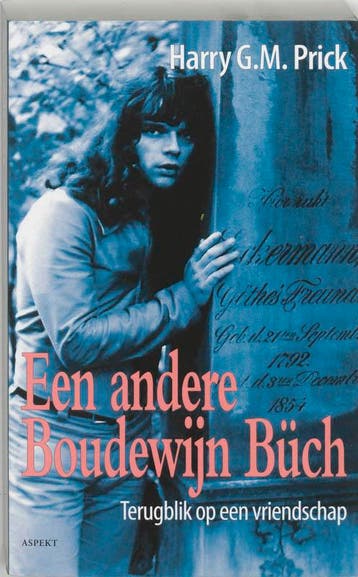Een andere Boudewijn Buch 9789059113343 Harry G.M. Prick, Verzenden, Gelezen, Harry G.M. Prick