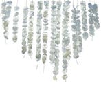 Hangdecoratie Eucalyptus 16st, Verzenden, Nieuw