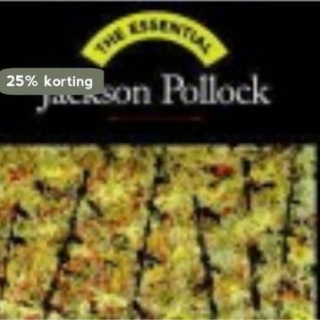 Jackson Pollock 9780810958098 Justin Spring, Verzenden, Justin Spring