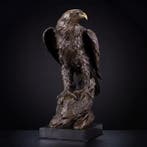 Statue, Exclusief Sculptuur: Adelaar 50.5 cm - 50.5 cm -