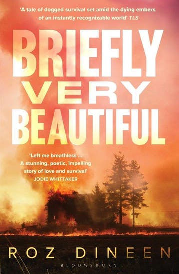 Briefly very beautiful 9781526659200 Roz Dineen, Verzenden, Roz Dineen