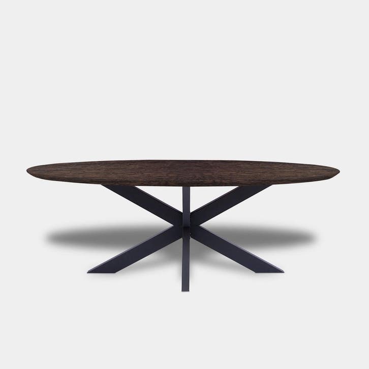 Tafel Ovaal Eikenhout  Matrix  200x100, Huis en Inrichting, Tafels | Eettafels