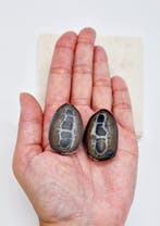 Septarie Geode, Ophalen of Verzenden, Nieuw