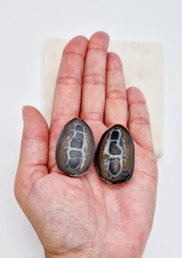 Septarie Geode, Ophalen of Verzenden