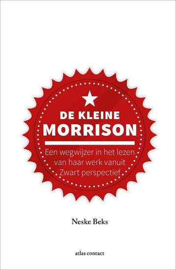 Kleine boekjes - grote inzichten 1 - De kleine Morrison, Verzenden, Nieuw