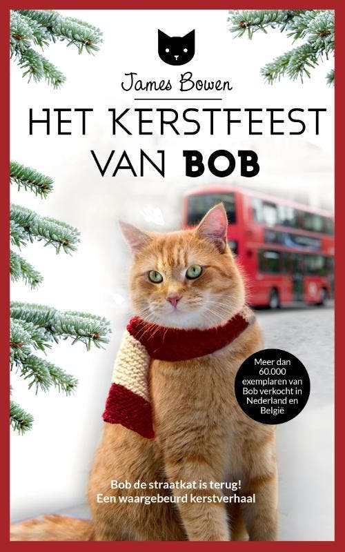Het Kerstfeest van Bob / Bob / 3 9789044354058 James Bowen, Boeken, Literatuur, Zo goed als nieuw, Verzenden