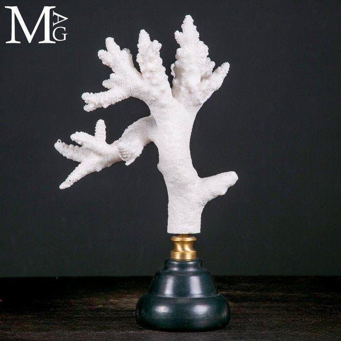 Mariene pracht: Witte koraaltak - Acropora florida op, Collections, Collections Animaux