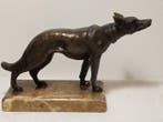 Sculpture, Cane lupo - 22 cm - Bronze