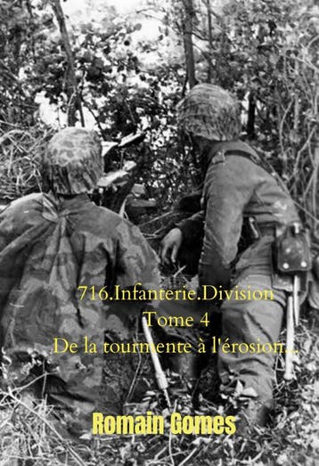 716.Infanterie.Division Tome 4 De La Tourmente À LÉrosion, Verzenden, Romain Gomes