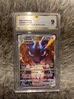 Pokémon Booster box - Lucario VSTAR (9) + Coffret Premium, Hobby & Loisirs créatifs