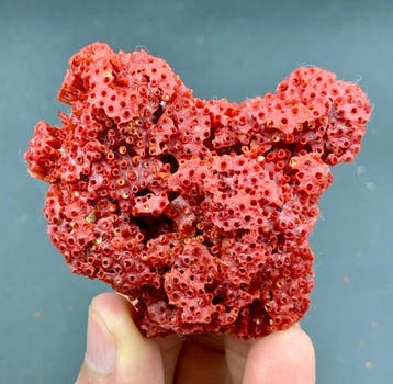 400 gram mengsel – specimenpartij uit Pakistan en