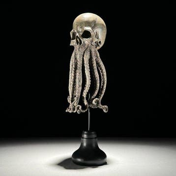Octopus-schedel sculptuur Schedel - - - 32 cm - 12 cm - 12