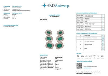Oorbellen - 14 karaat Geel goud - 3.88ct. tw. Smaragd -, Nieuw