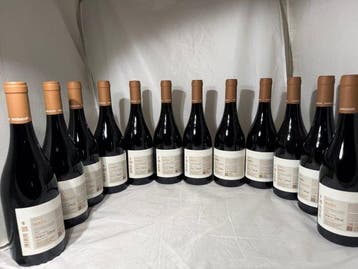 2021 San Marzano, Susco Susumaniello - Apulië - 12 Flessen