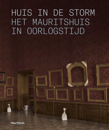 Huis in de storm 9789462626027 Quinten Buvelot, Verzenden, Quinten Buvelot