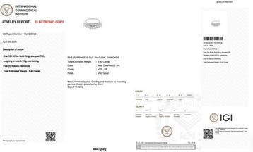 Bague - 18 carats Or blanc - 3.40ct. tw. Diamant (Naturelle)