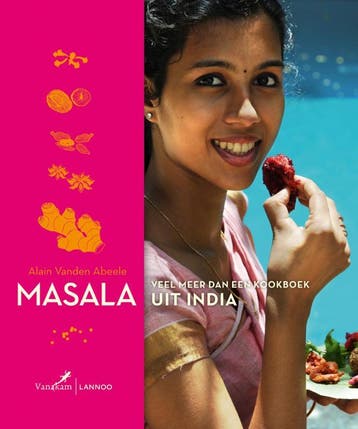 Masala - Nederlandse versie 9789020997620, Boeken, Verzenden, Zo goed als nieuw, Alain Vanden Abeele