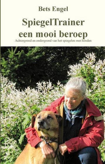 Spiegeltrainer een mooi beroep 9789462030893 Bets Engel, Verzenden, Bets Engel