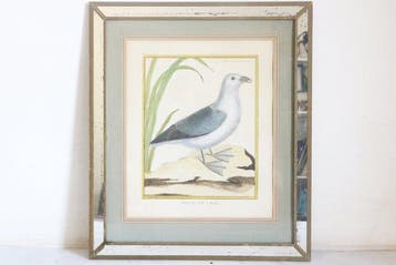 François-Nicolas Martinet (vers 1726-1804) - Petrel de, Antiek en Kunst