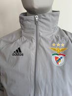 Benfica - Ligue Européenne de Football Américain - 2020 -