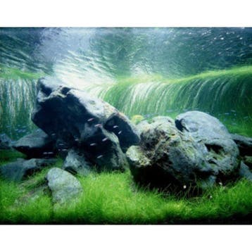Hakkai Stone, Verzenden, Nieuw