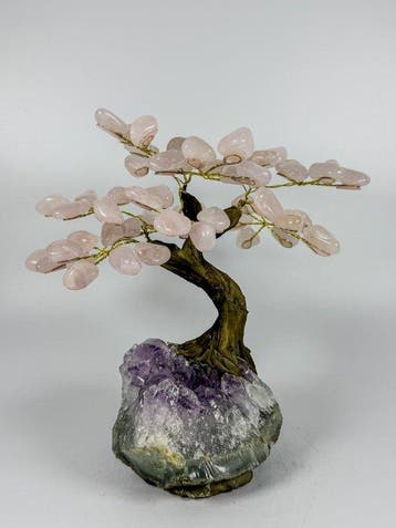 Superbe quartz rose sur géode d’améthyste – Bonsai en quartz, Collections, Minéraux & Fossiles