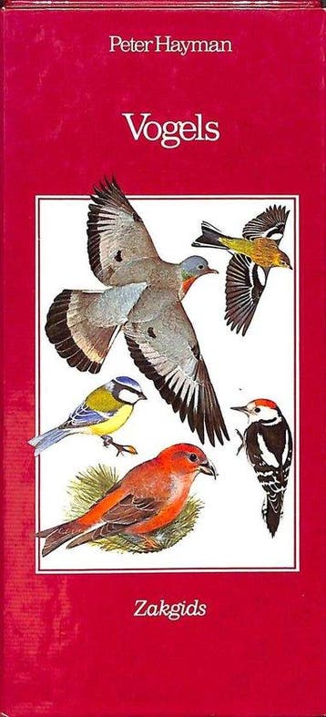 Zakgids Vogels - Hayman, Verzenden, Nieuw