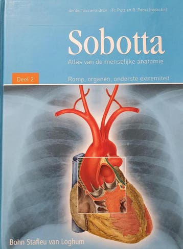 Sobotta - atlas van de menselijke anatomie 9799031347130, Verzenden, Gelezen, Bohn Stafleu van Loghum