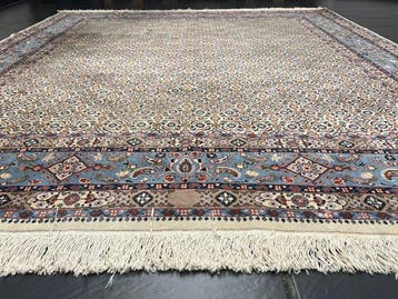 Moud - Tapijt - 285 cm - 245 cm, Nieuw