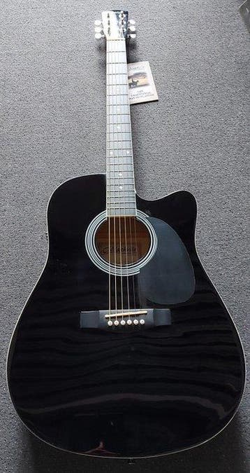 Nashville by Richwood - Dreadnought met Cutaway - -, Musique & Instruments