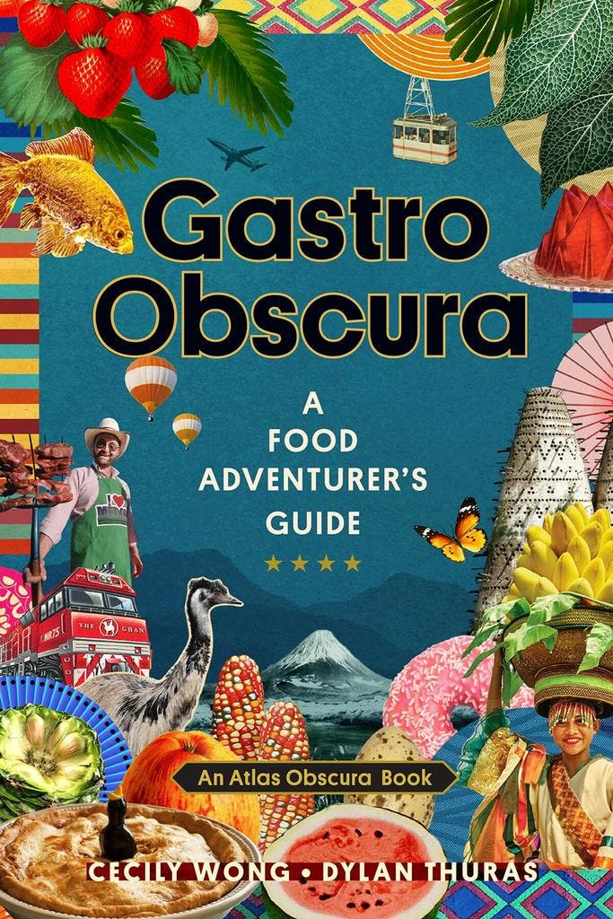 Gastro Obscura 9781523502196 Cecily Wong, Livres, Langue | Anglais, Envoi