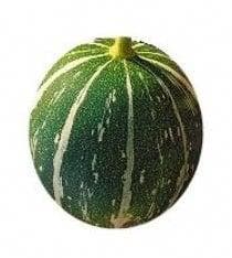 Cucumis foetidissima buffalo gourd-andreana