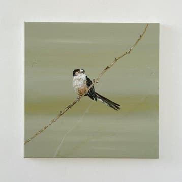 Matthieu van Riel - Staartmees