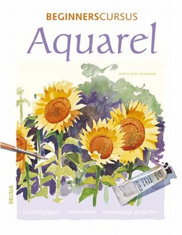 Beginnerscursus aquarel 9789044707168 M. Willenbrink, Livres, Loisirs & Temps libre, Envoi