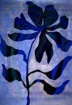 Lupo - Urban Jungle 432 - Certificated - SILVER - XXL