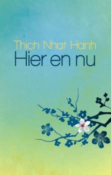Hier en nu 9789045311715 Thich Nhat Hanh, Boeken, Verzenden, Gelezen, Thich Nhat Hanh
