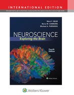 Neuroscience 4E International Edition 9781451109542, Verzenden, Mark F. Bear
