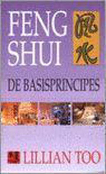 FENG SHUI. DE BASISPRINCIPES 9789055016747 L. Too, Verzenden, L. Too