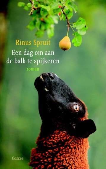 Een dag om aan de balk te spijkeren 9789059364486, Verzenden, Zo goed als nieuw, Rinus Spruit