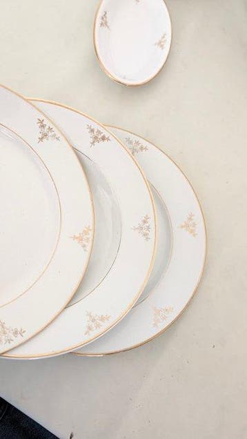 Richard Ginori - Service de dîner (20) - Porcelaine - Pour 8