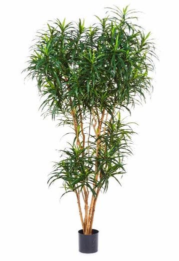 Kunstplant Dracaena Reflexa 180 cm, Huis en Inrichting, Kamerplanten, Verzenden