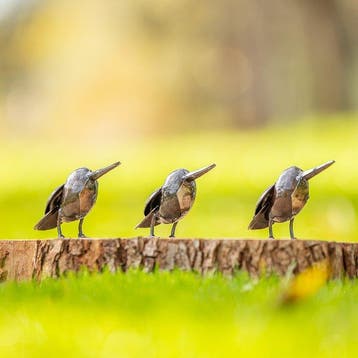 Drie metalen ijsvogels - Figure - Métal