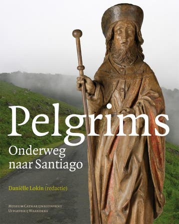 Pelgrims 9789040078200 Daniëlle Lokin, Verzenden, Zo goed als nieuw, Daniëlle Lokin