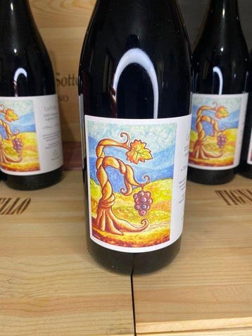 2022 Cantina Giardino, Le Fole - Campania - 6 Flessen (0.75