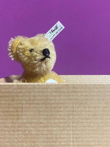 Steiff: clubgeschenk Teddybeertje 1997 - Teddybeer -